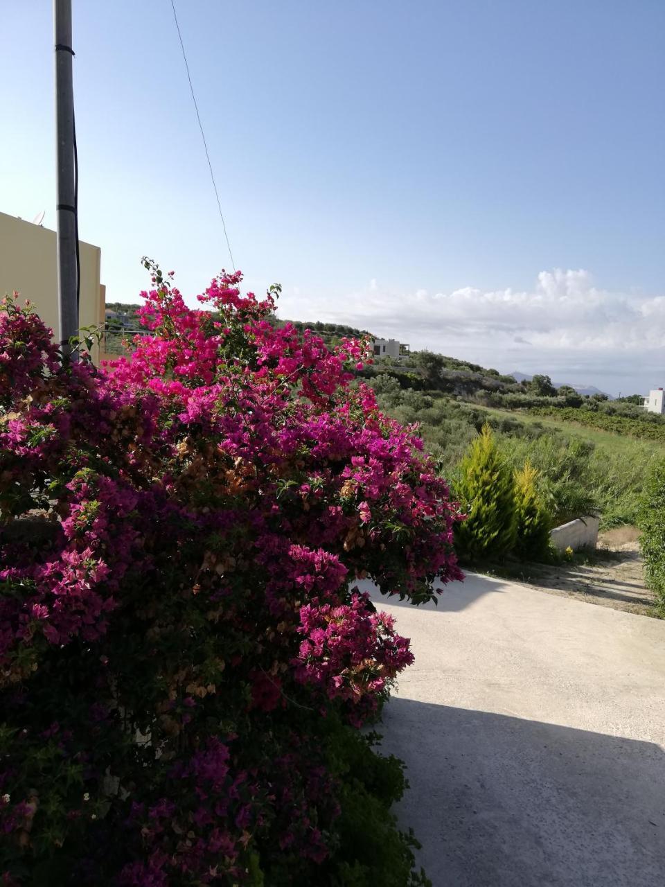 Cyan Icons Villas Kalyves Chania Εξωτερικό φωτογραφία